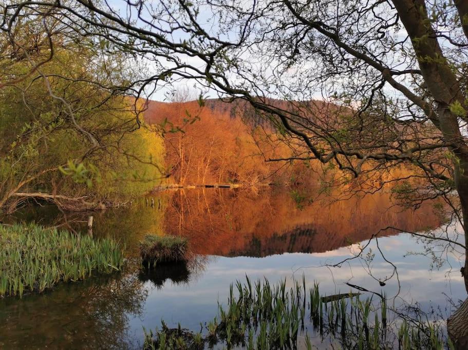 Cottage Les Pyrenees Au Bord De L'Eau Barbazan Екстер'єр фото